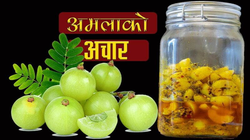 AMALAKO ACHAR 350 GRAM