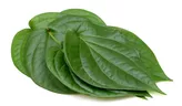 Betel Leaf (Only  by Order)  40g(Pan Lea...