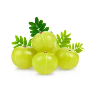 FRESH AMLA 500 GRAM.